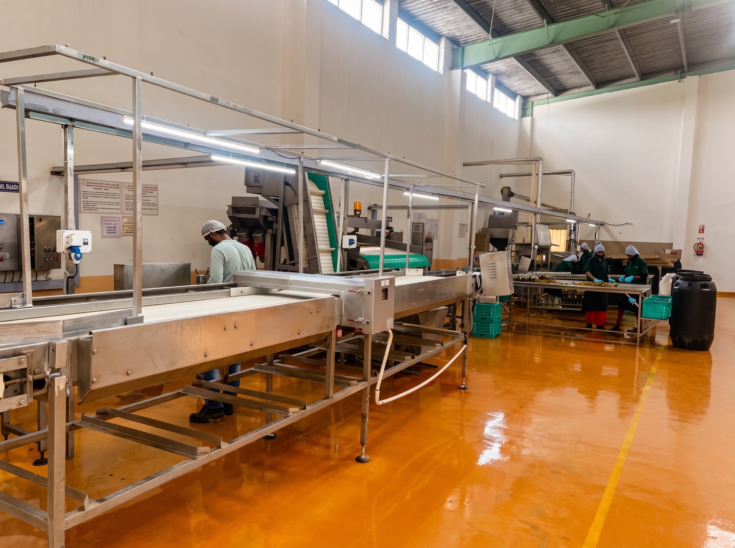 Quality checks on the grading and sorting line at Vishaal Natural